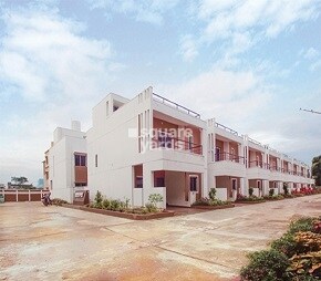 Kapis Golden Sands