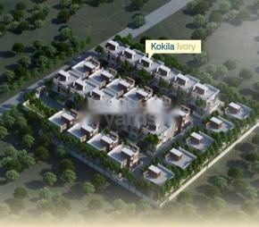 Kokila Ivory