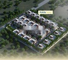 Kokila Ivory Featured Image