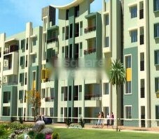 Mahadev Orchid Featured Image