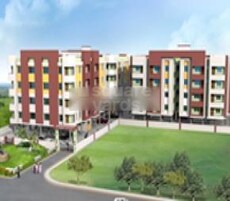 Mason Star Club Featured Image