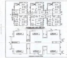 Natures Crest Featured Image