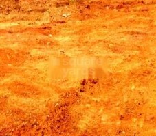 Nayak Jagmara Vihar Featured Image