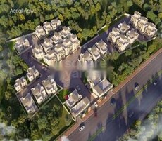 Nitasha Urbania Featured Image