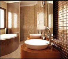 Orisons Oyster Featured Image