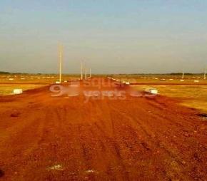 Radha Krishna Nagar Featured Image