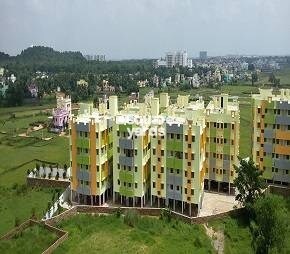 Samasti 1001 Greens