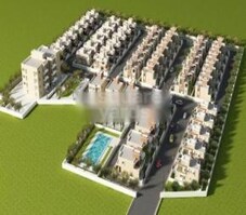 Shraddha Daffodils Featured Image