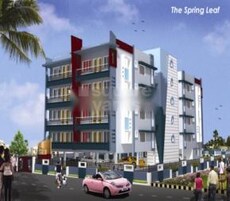 Shraddha The Spring Leaf Featured Image