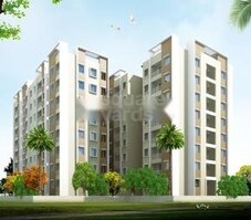 Sonsy Rise Featured Image