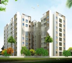 Sonsy Rise Featured Image