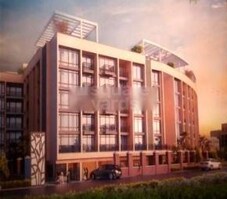 Terrace Tree Featured Image