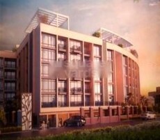 Terrace Tree Featured Image