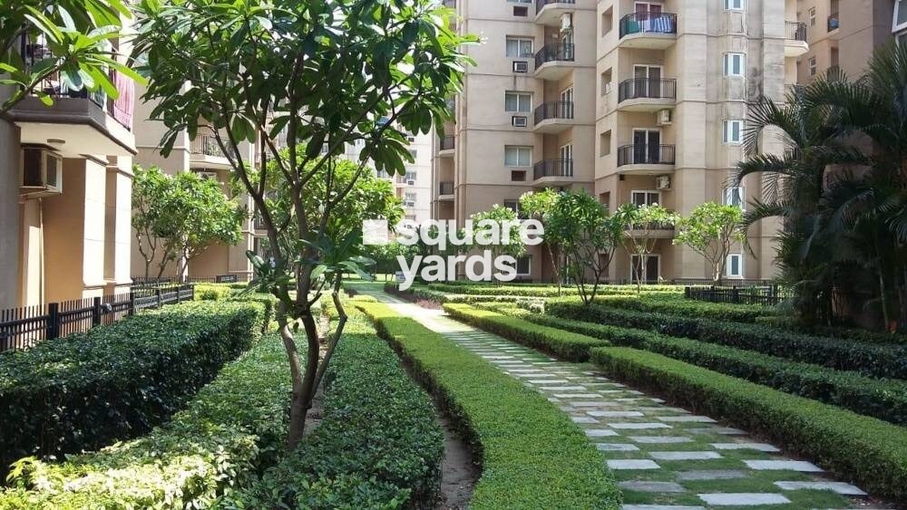 ATS Golf Meadows Prelude