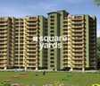Bajwa Sunny Urban Greens