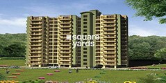 Bajwa Sunny Urban Greens