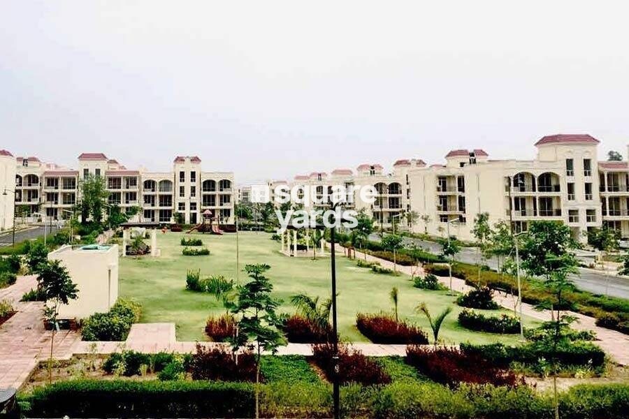 DLF Valley
