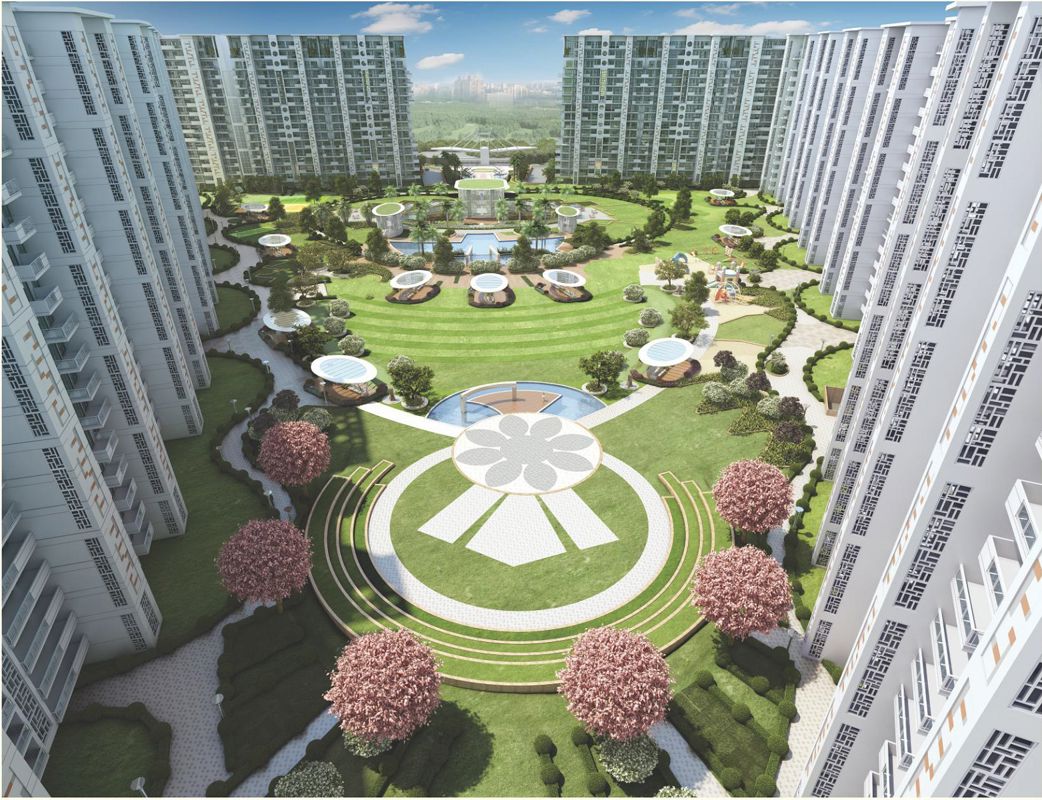 Janta Land Falcon View