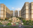 Turnstone The Medallion