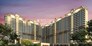 Affinity Belgravia Flagship Image