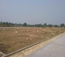 Altus Muirwood Ecocity Featured Image