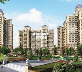 Ambika Florence Park Video