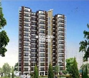 Bajwa Sunny Urban Greens