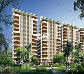 BeeGee Palm Village
