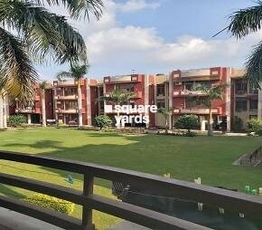 IAS IPS Society Featured Image