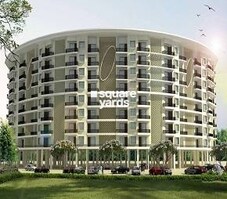 Motiaz Royal Fame Featured Image