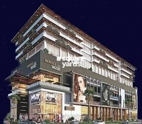 PP Mohali Walk Featured Image