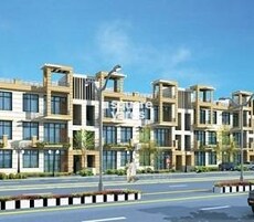 TDI My Floors Featured Image