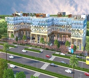 Turnstone Medallion 68