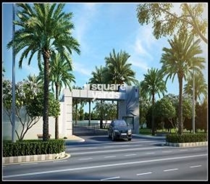 Ubber Golden Palms Cover Image