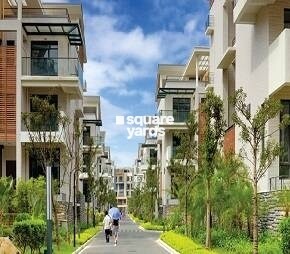 Ubber Palm Meadows, Central Kharar, Chandigarh