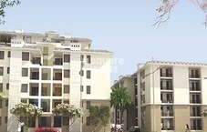 Wisteria Nav City Featured Image
