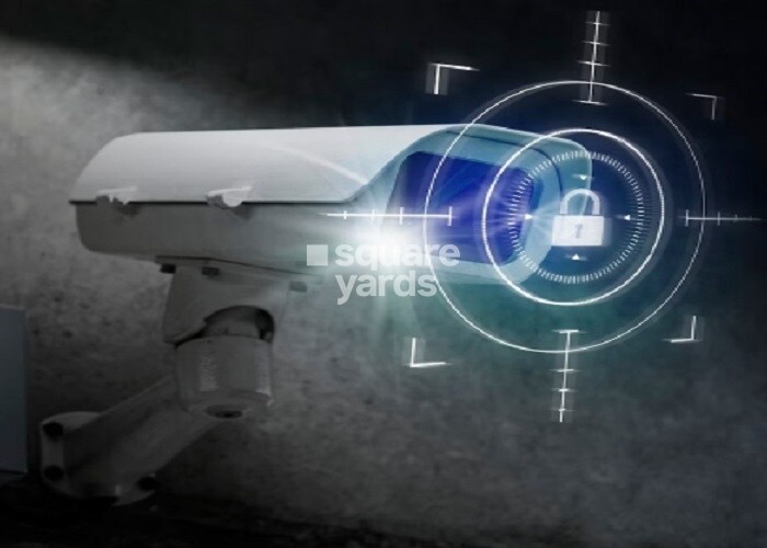 AK Magnesite Microlite