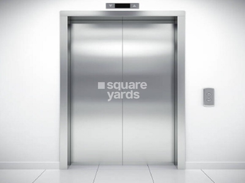 AK Prasiolite Petalite