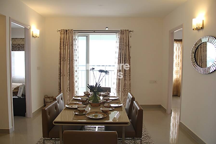 Alliance Orchid Springs