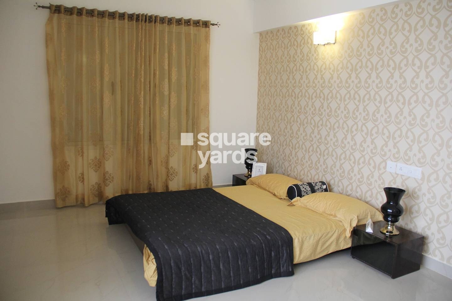 Alliance Orchid Springs