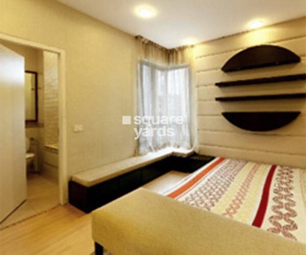 Alliance Orchid Springs