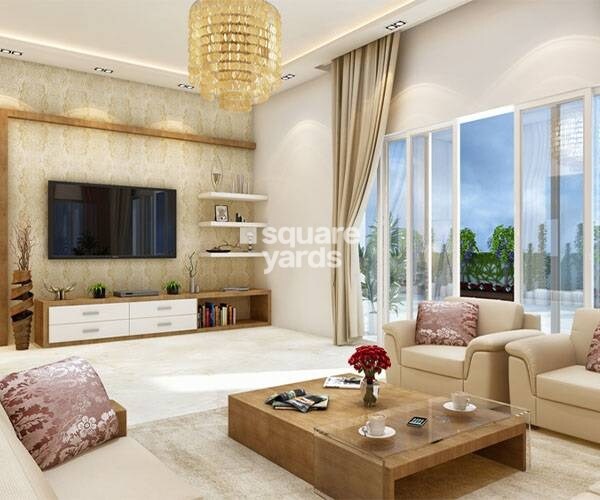 Alliance Orchid Springs