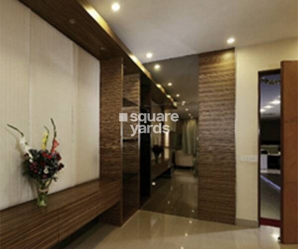 Alliance Orchid Springs