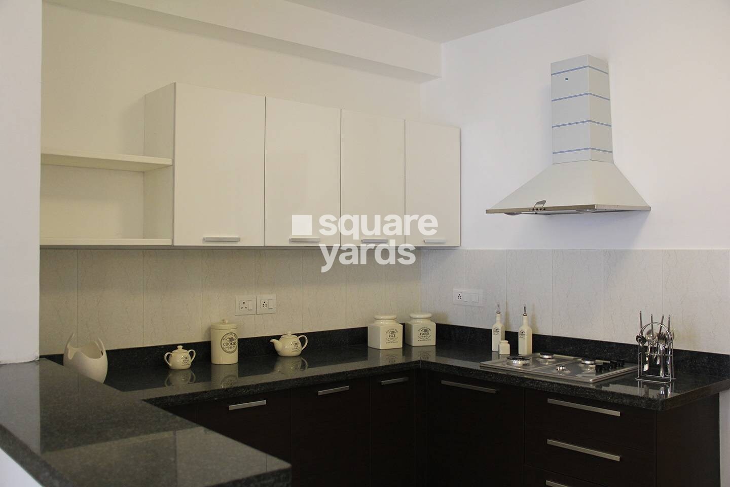 Alliance Orchid Springs