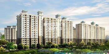 Alliance Orchid Springs