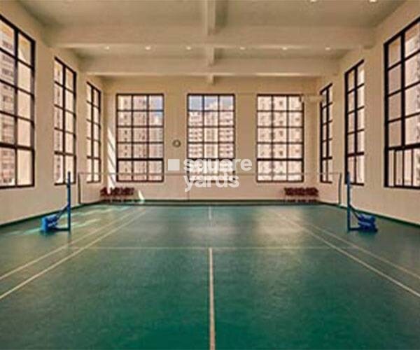 Alliance Orchid Springs