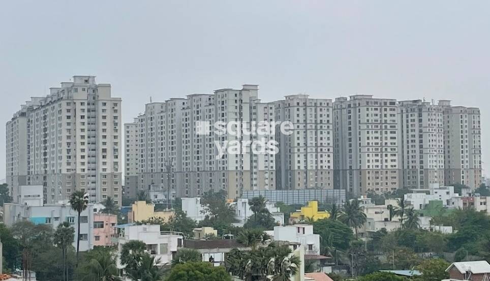 Alliance Orchid Springs