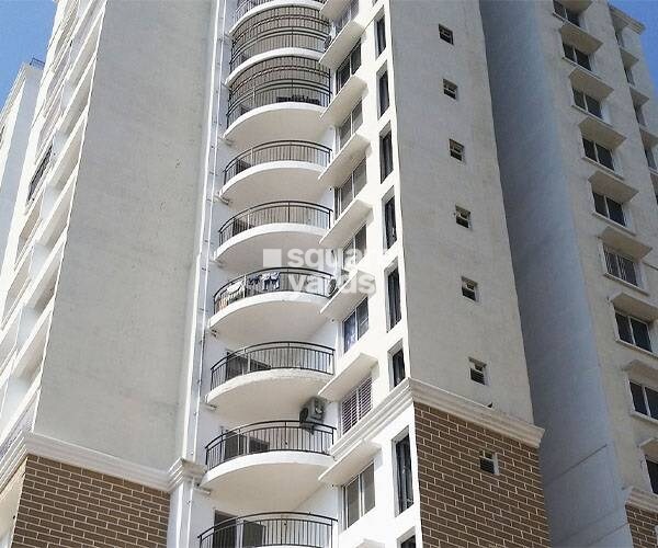 Alliance Orchid Springs