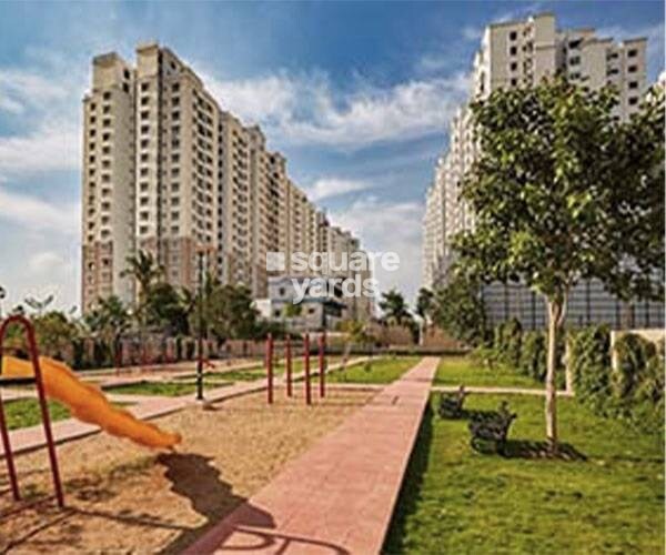 Alliance Orchid Springs