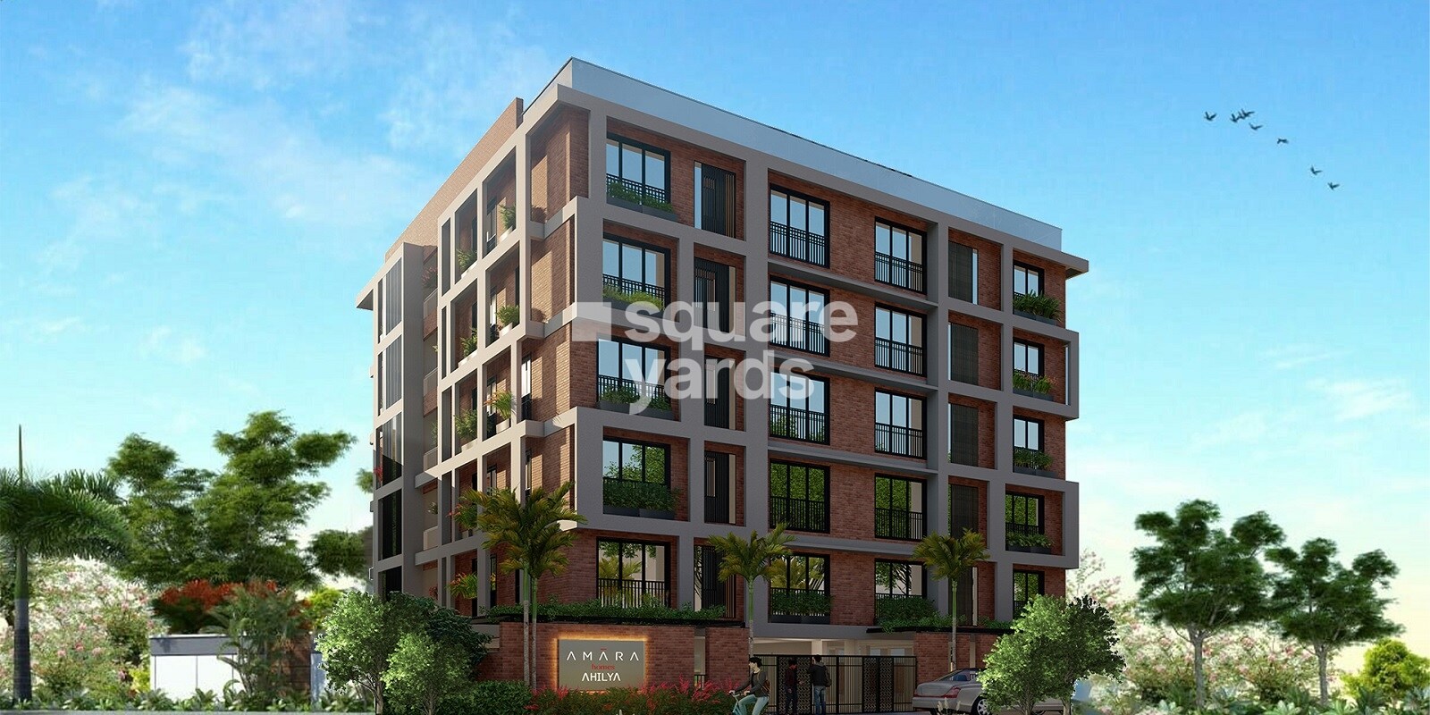 Amara Ahilya Featured Image